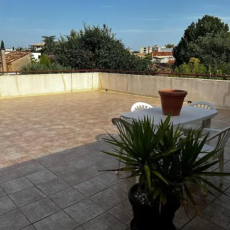 Neuf P3 50m2 公寓 *